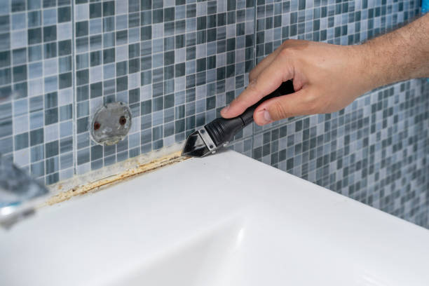 Best Mold Removal Process  in Andrews, IN