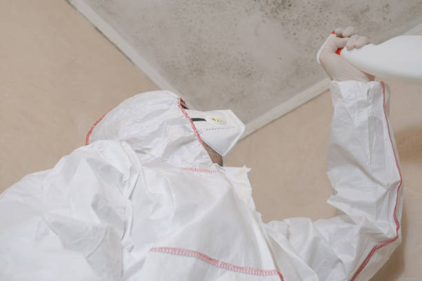 Best Professional Mold Removal  in Andrews, IN